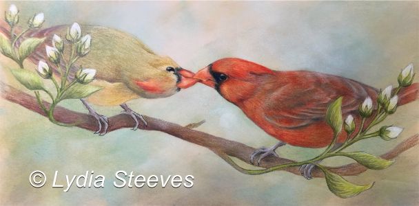 Courting Cardinals - CP Online Class